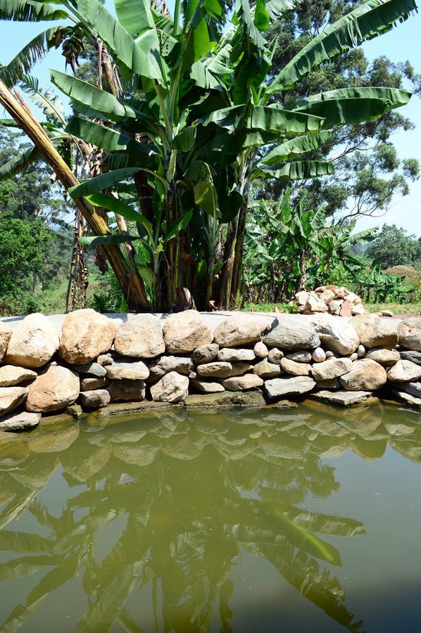 Koi Koi, Fort Portal Hotel Kasusu Exterior photo